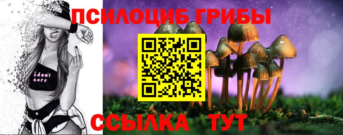 Галлюциногенные грибы GOLDEN TEACHER Ступино